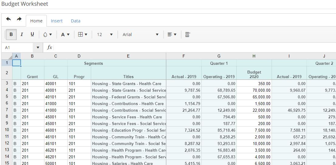 MIP Fund Accounting Software - MIP Budget Worksheet