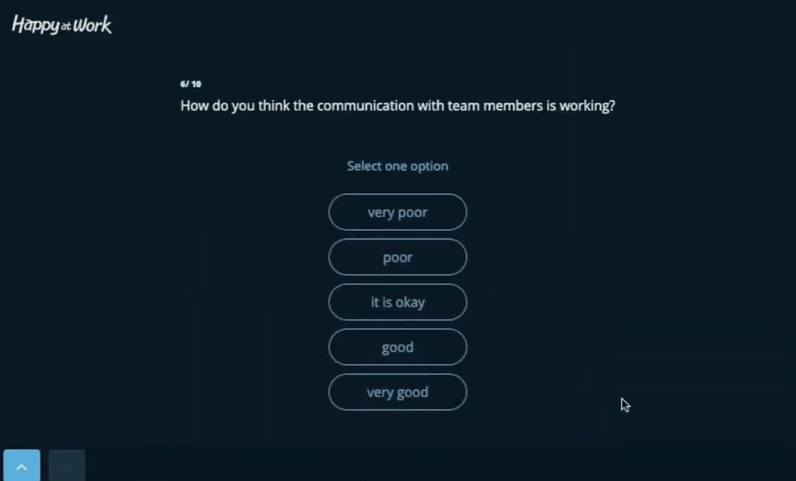 Happy at Work screenshot: Happy at Work optional answers