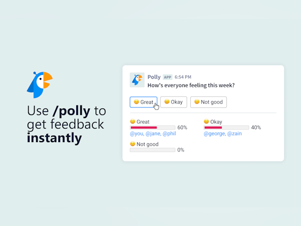 Polly Software - 1