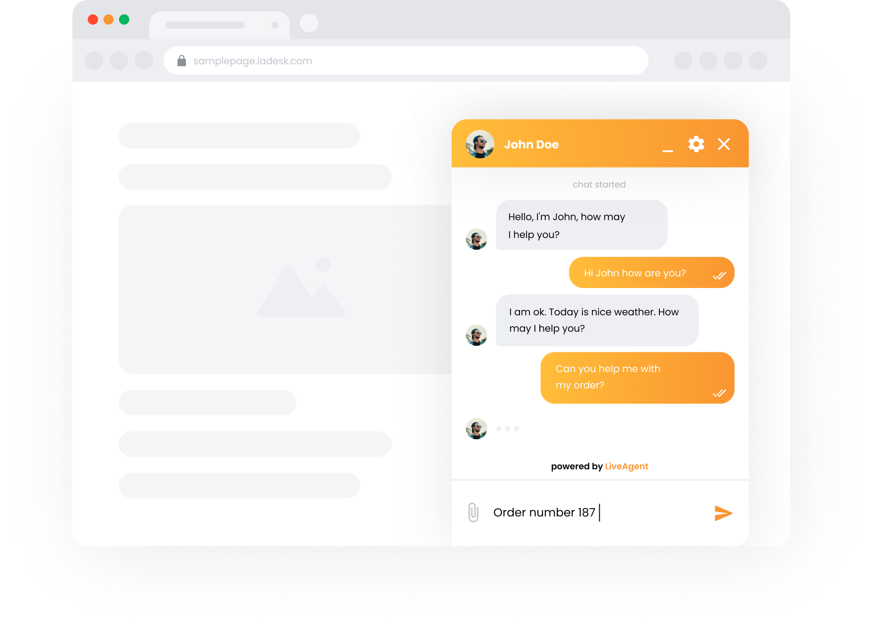 LiveAgent Software - Customer chat view