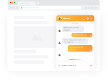 LiveAgent Software - Customer chat view