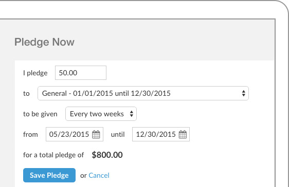 Donors have multiple giving options with Realm, and multiple payment types can be accepted
