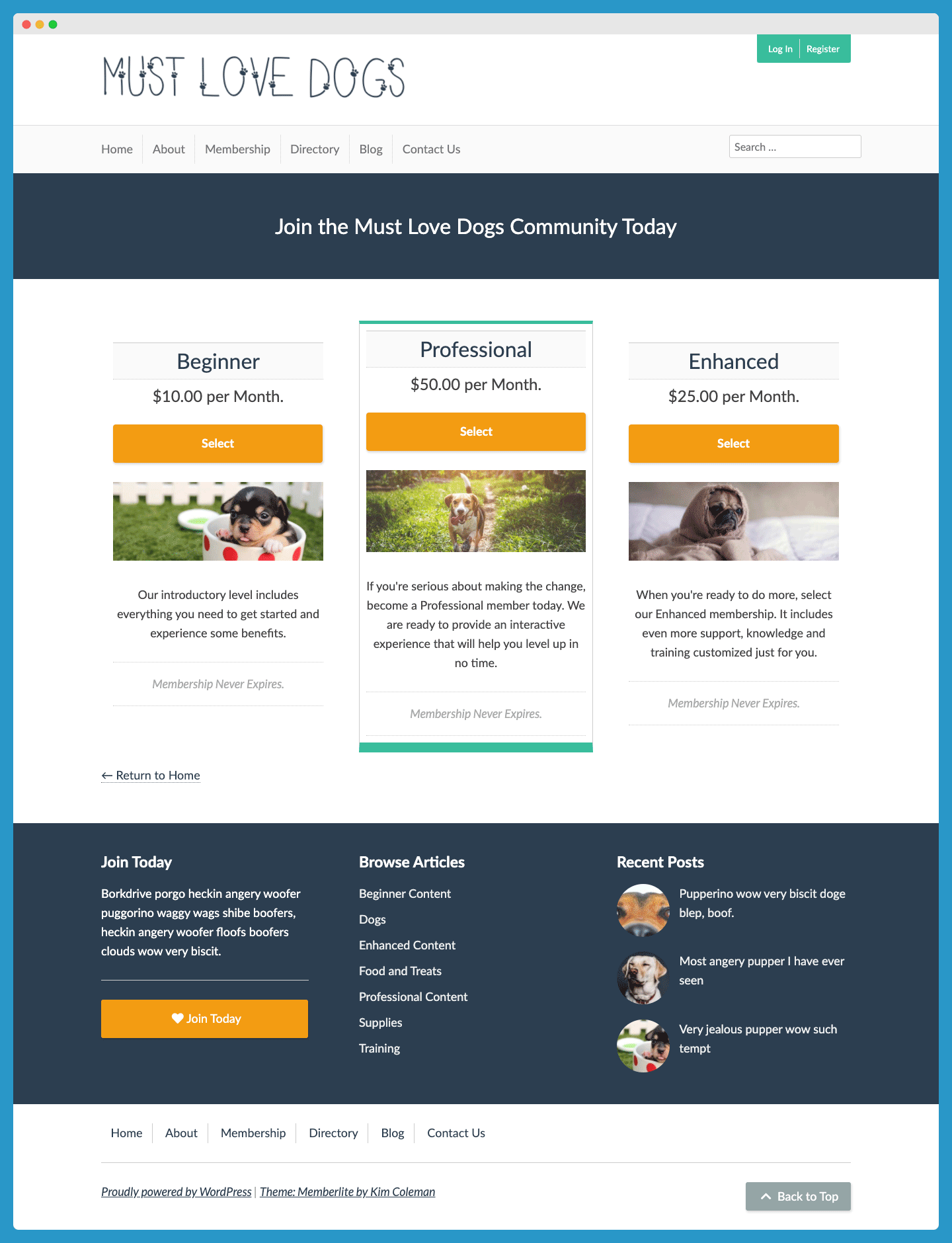 Paid Memberships Pro screenshot: Paid Memberships Pro membership levels