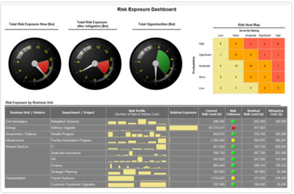 professional risk manager