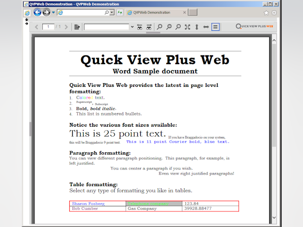 Quick View Plus Software - 1