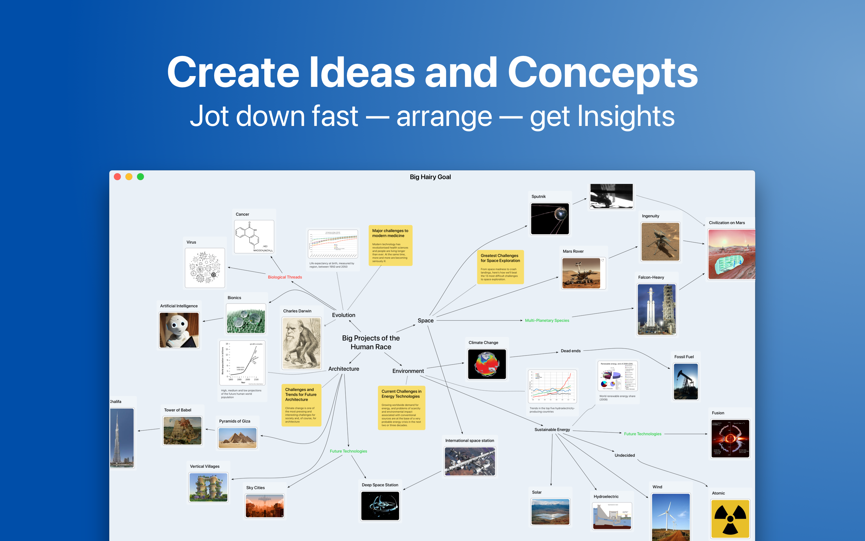 Big Hairy Goal screenshot: Jot down fast and get insights