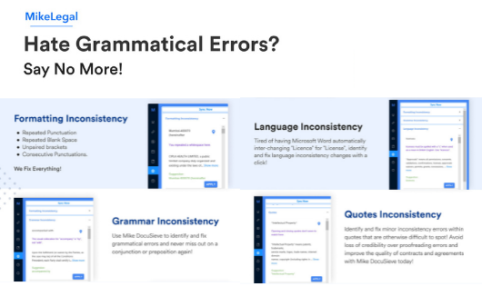 Identify grammatical errors and inconsistencies