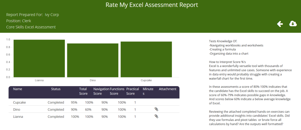 Rate My Excel - assessment score report