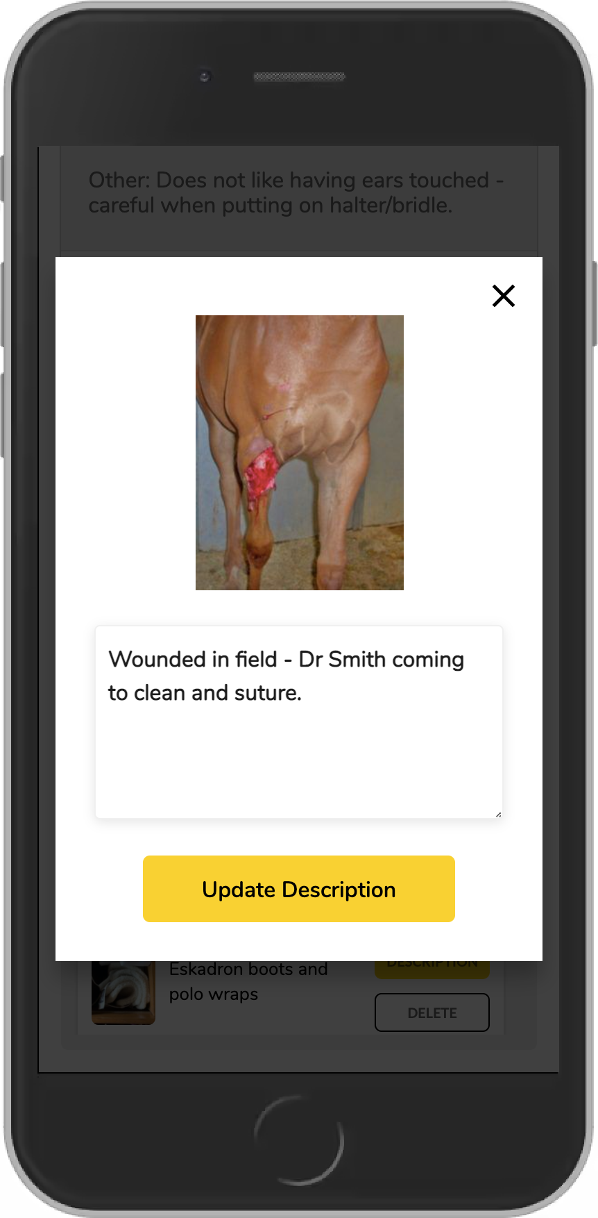 Easily upload photos and documents (.doc and PDF) to each horse's Profile. Track healing of injuries, document horse body condition on arrival to your stable or the equipment he came with.