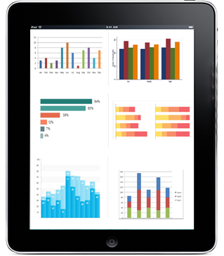 Rentrax Software - Reports can be generated on metrics such as overall business performance, most popular item rentals, sale orders, and more