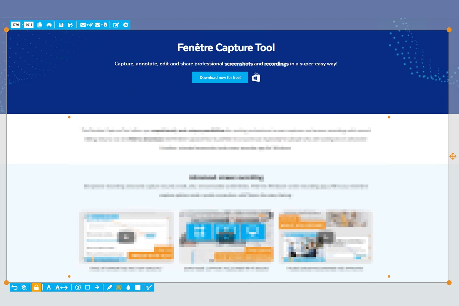 Fenêtre Capture Tool Software - Pixelate areas to remove sensitive information before sharing