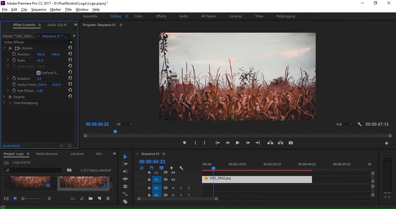 Adobe Premiere Pro a4880b20-3c04-4ef4-951c-cb1fa2ee117b.jpeg