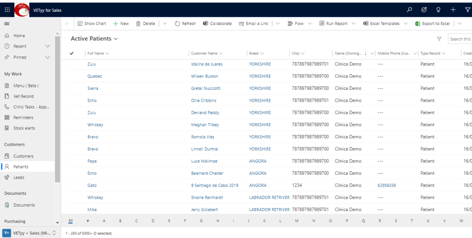 Search Patients easy-thumb