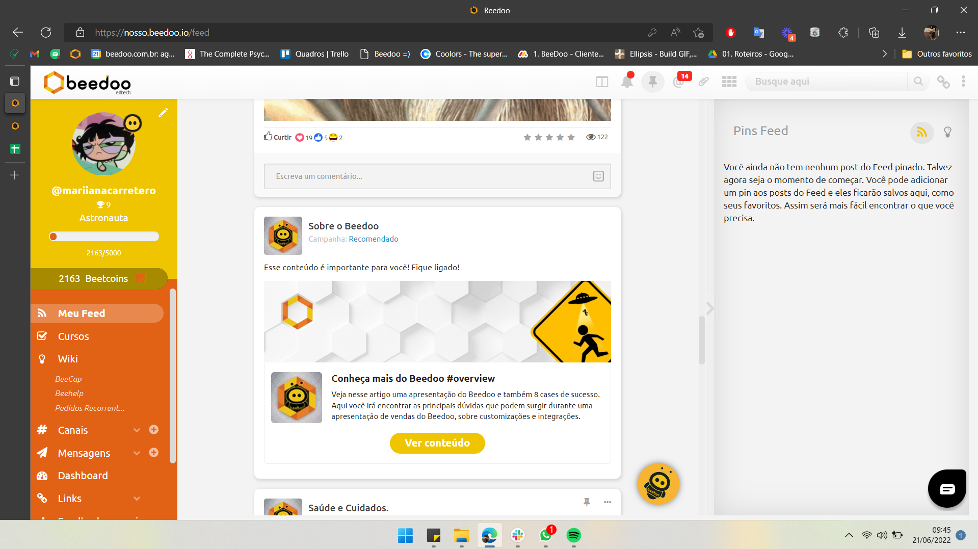 Beedoo screenshot: Beedoo feed