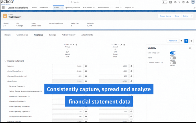 Credit Risk Platform financial statement data