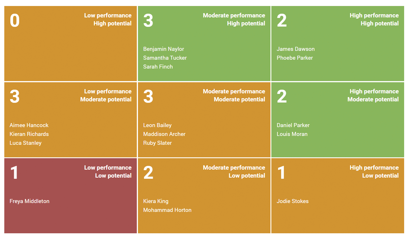 Moorepay (Formerly Natural HR) Software - Performance Management: 9 Box Grid