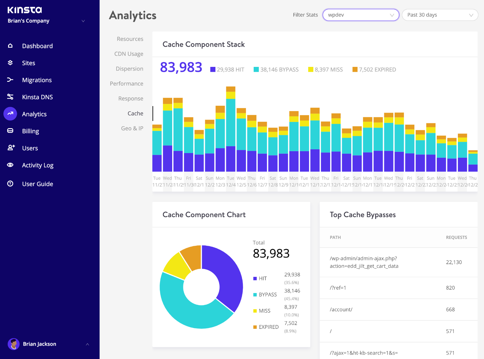 The MyKinsta Analytics tool provides invaluable data about the performance of your site.