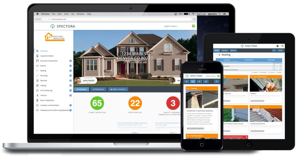 Spectora screenshot: Web-based reports