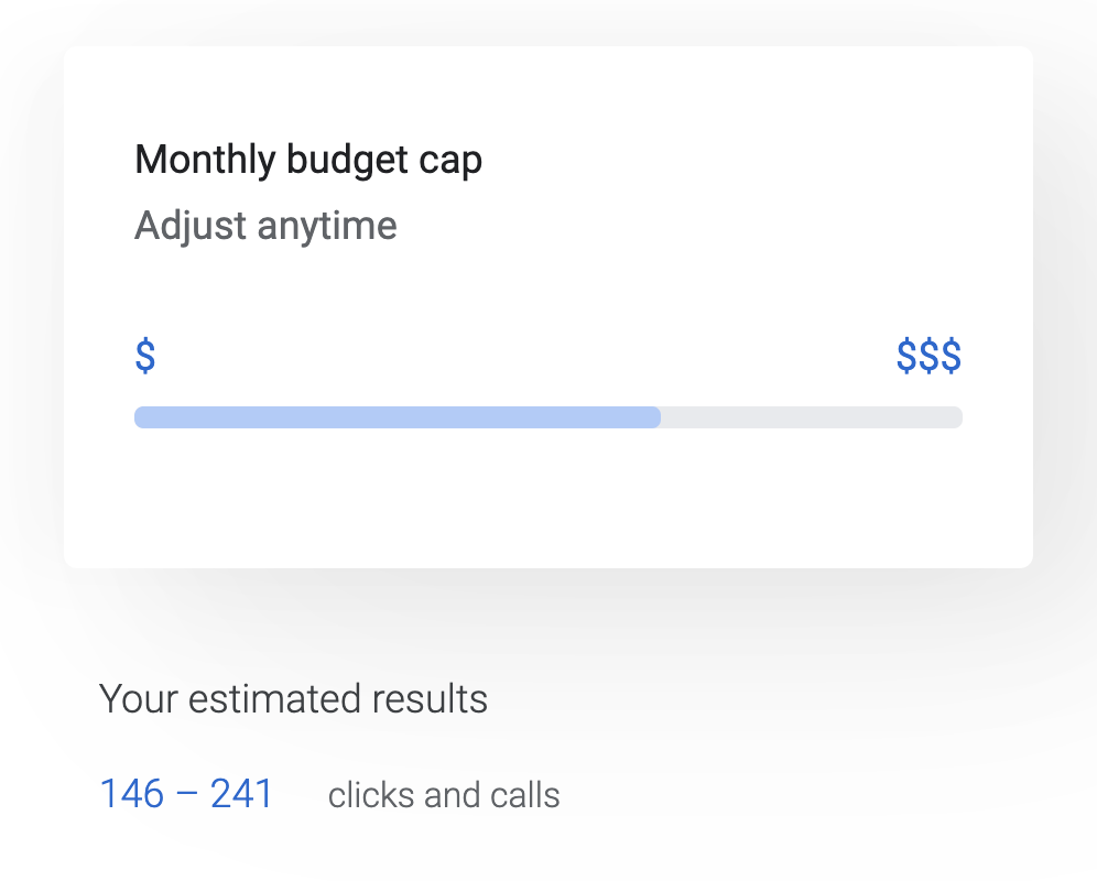 Google Ads Software - Budget Settings