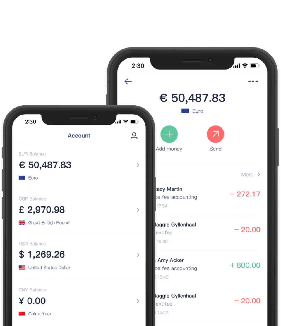 EasyEuro app screenshot