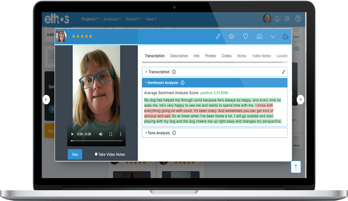 EthOS screenshot: Automated sentiment analysis powered by AI helps researchers zero in on the critical moments of an experience