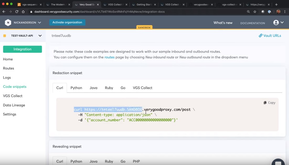 VGS screenshot: VGS code snippets