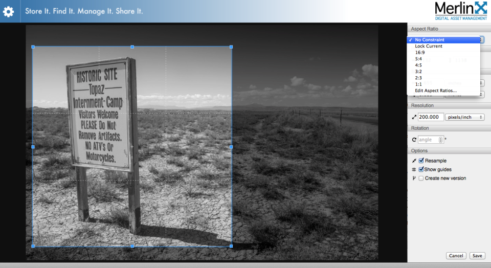 Users can store, find, manage and share photos