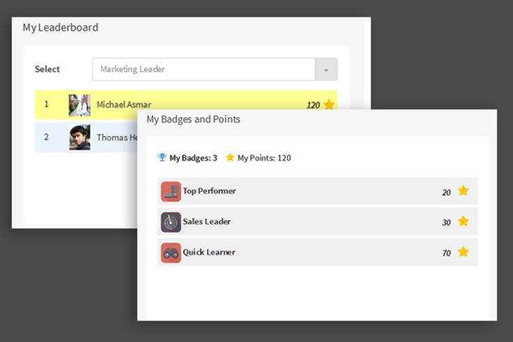 Abara LMS Software - The tool offers gamification and leaderboards to add points or badges