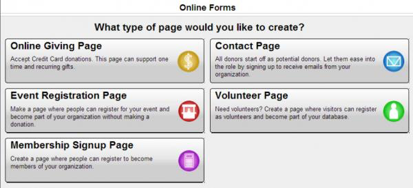 eTapestry's Do-It-Yourself online donation forms