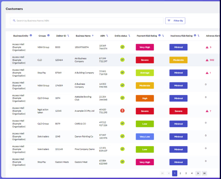 Access Monitor screenshot: Access Monitor track customers risk of non-payment