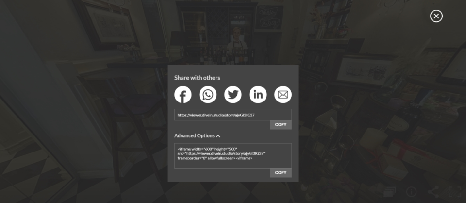 Share and Embed Options-thumb