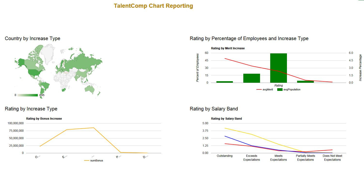 TalentComp Software - Advanced Reporting Package