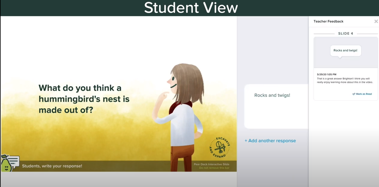 There are three views in a Pear Deck Session, which are the Projector View, Student View, and private Teacher Dashboard view. Learn more here: https://help.peardeck.com/the-teacher-dashboard