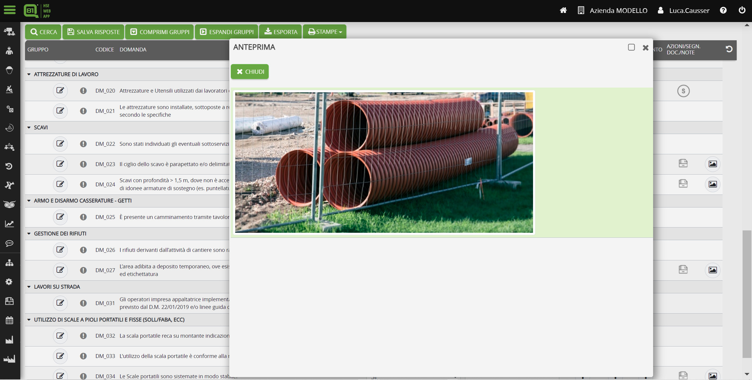 Q-81 screenshot: Q-81 audit