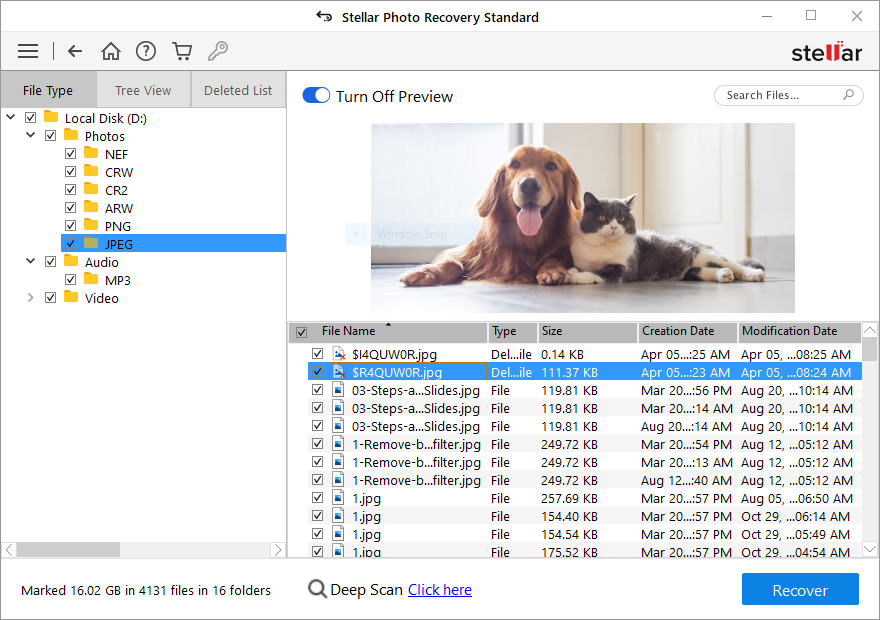 Preview all recoverable file after completing scanning process.