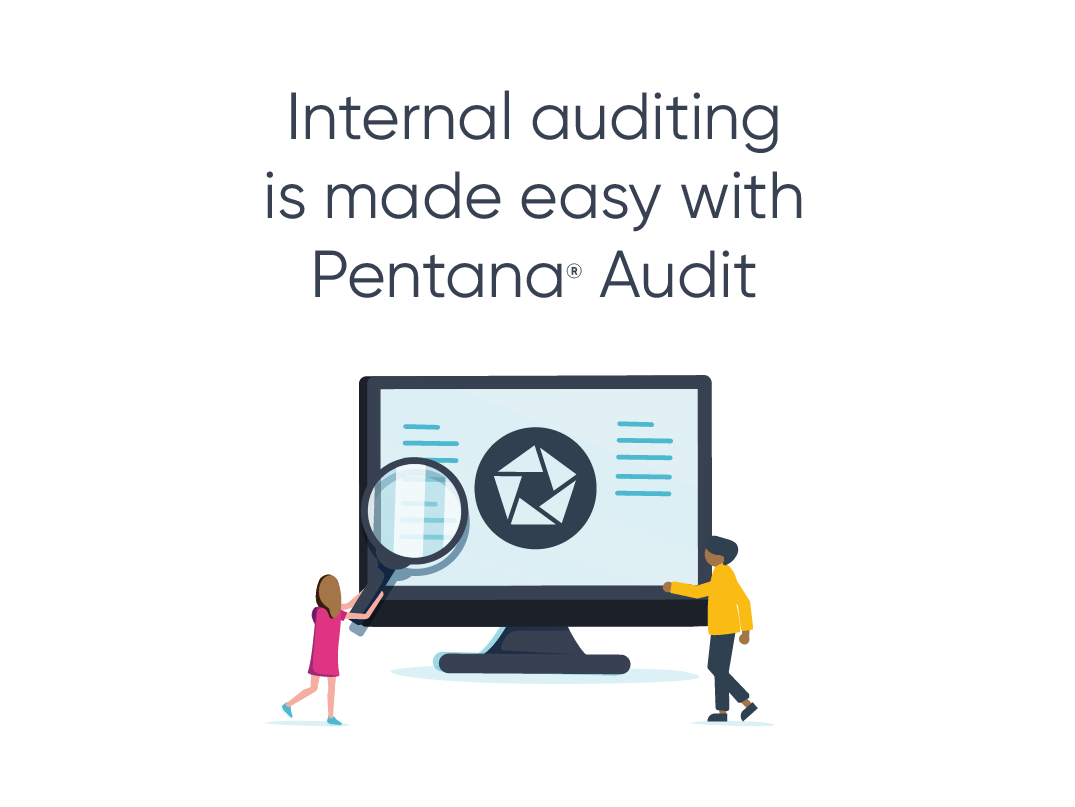 Pentana Audit Software - 1