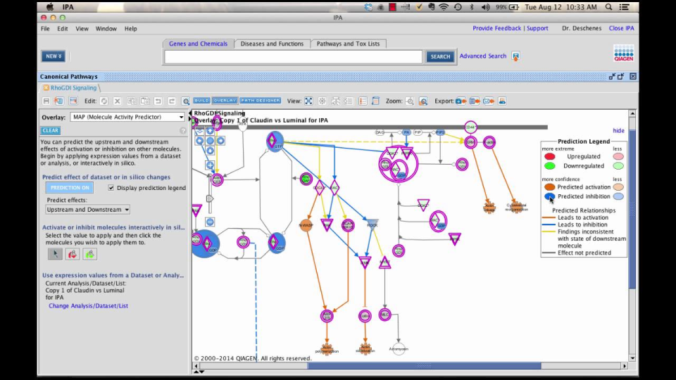 Ingenuity Pathway Analysis 소프트웨어 - 1