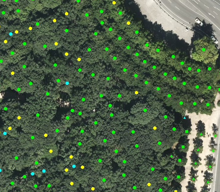 TO for Auto Tree Detect-thumb