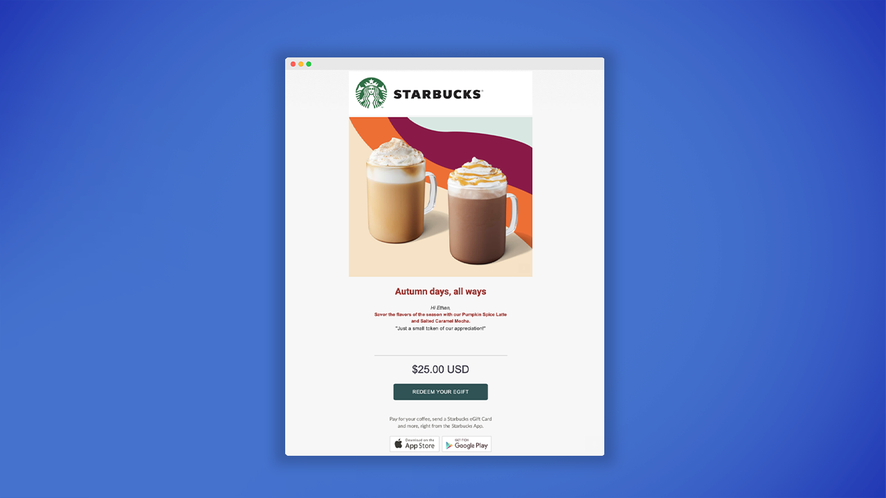 Hook Security Software - 4