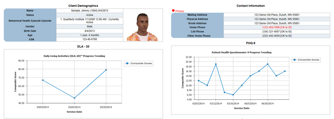 CareLogic Enterprise Software - CareLogic client details view dispaying demographics and contact info.