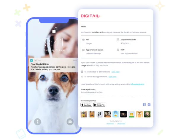 digitail-software-2023-reviews-pricing-demo