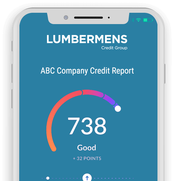 Lumbermens Credit Risk Online Software - Lumbermens Credit Risk Online credit report