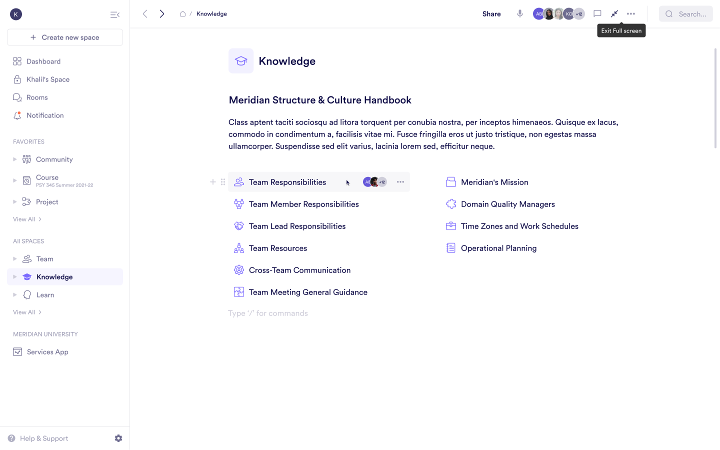 Pivot screenshot: Pivot pinned docs, rooms, databases, and key resources