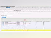 SAP PLM Software - 3 - Vorschau