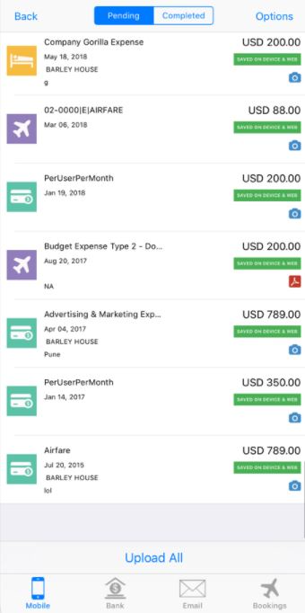 Gorilla Expense Software - Expenses View on Mobile - Data grouped by source and by whether the expense is Pending or Completed