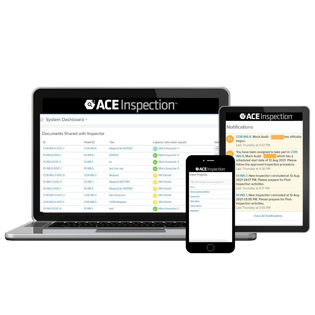 ACE Inspection b62a1871-816a-48d3-bec8-0d3def619430.png