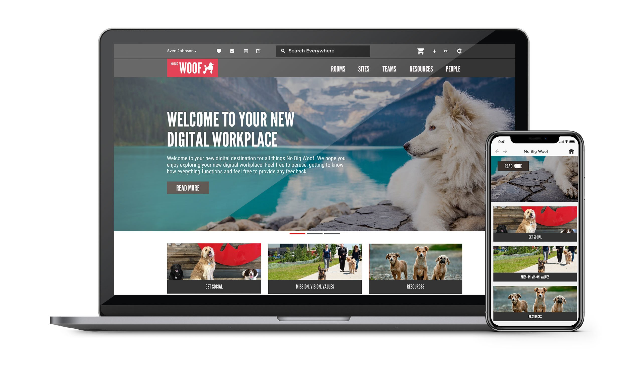 Igloo Website Mockup No Big Woof