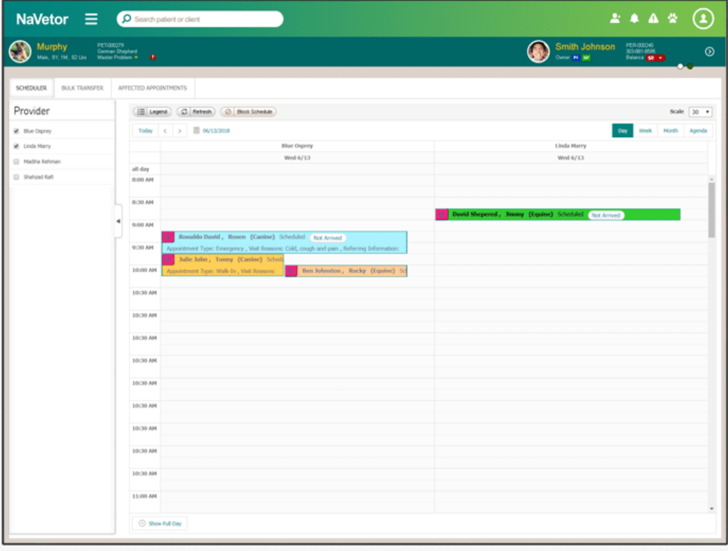 NaVetor appointment scheduling screenshot
