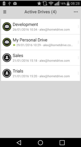 Hornetdrive screenshot: Hornetdrive active drives