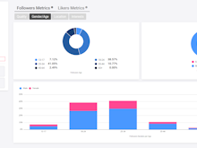 Click Analytic Software - Click Analytic - Influencer Report Snapshot - Audience Demographics